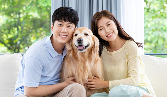 프리미엄 반려동물 서비스